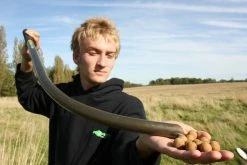 Korda Eazi Sticks - Throwing sticks