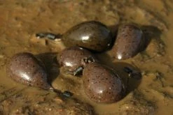 Korda Pear Swivel Lead - Swivel leads -Carp Sales Store 1297110231 large