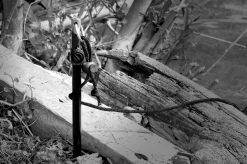 Cygnet Sniper Bank Stick 12-22inch - Banksticks -Carp Sales Store 1338463198 SNIPER BANK STICK