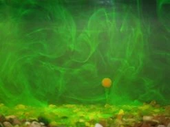 Korda Goo Liquids - Attractants -Carp Sales Store 1345539957 4