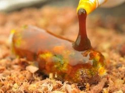 Korda Goo Liquids - Attractants -Carp Sales Store 1345539957 5