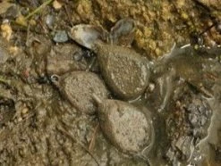 Korda Textured Leads - Swivel leads -Carp Sales Store 1345650441 4