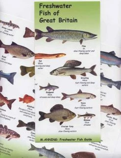 Nigel Clarke Publications Freshwater Fish Of Great Britain Chart - Books & prints