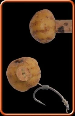 ESP Nut Drill 4mm - Drills -Carp Sales Store 1394802563 2