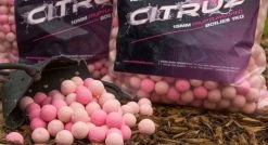 Nash Citruz Special Edition Bottom Baits 1kg - Boilies -Carp Sales Store 1ebxvmbh635847364188597986