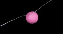 Nash Waxed Bait Floss - -Carp Sales Store 4yddvlfn636350153729370571