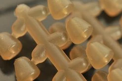 Korda Hook Beads - -Carp Sales Store 52hdqhsl635981284308229455