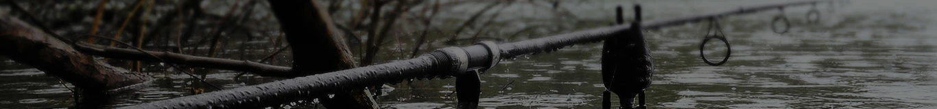 Carp Sales Store -Carp Sales Store 56464651