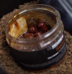 CC Moore Squid Hookbaits - -Carp Sales Store 5ibuk0rh637116581796836877