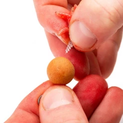 Nash Maggot Screws - Boilie stops & hair stops -Carp Sales Store ccdvwppj637540885501757943