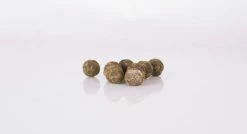 Nash Scopex Squid Cultured Hookbaits - Boilies -Carp Sales Store hnahhz20636263961106004634