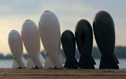 Spombs - Spods & spombs -Carp Sales Store hq01oevk636064989575846688