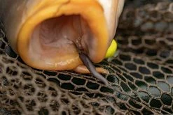 Fox Edges Tungsten Line Alignas - Hook accessories -Carp Sales Store hvf0ozi2636862519703615555