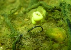 Korda Hybrid Wide Gape Barbless - Hooks -Carp Sales Store kkhgkhgkgk