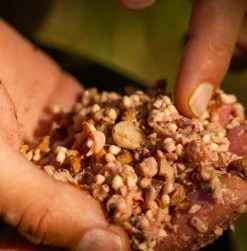 Mainline Power Plus Particles Nut Crush - Nuts & particles -Carp Sales Store odq1ps3b637515777144924608