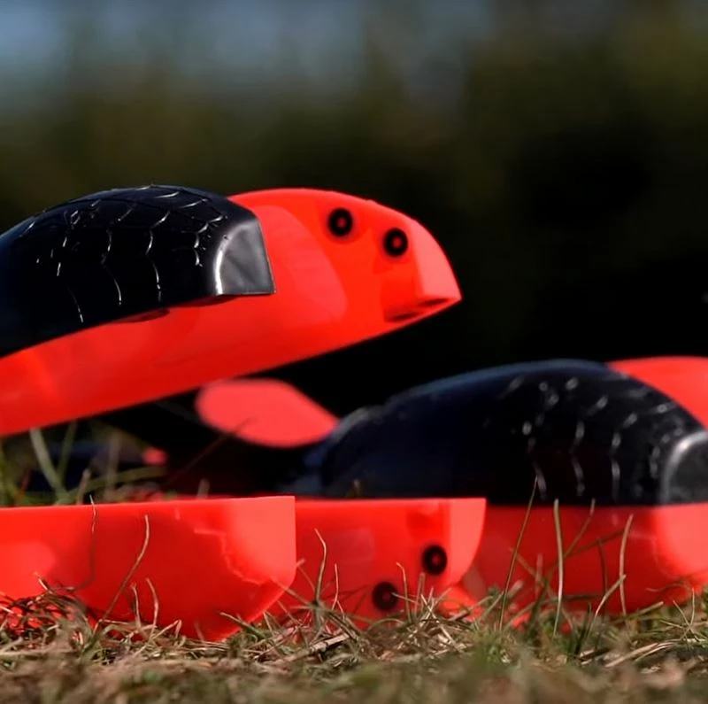 Wolf International Wolf Spider Spod - Spods & spombs 3 Wolf International Wolf Spider Spod - Spods & spombs - Image 3