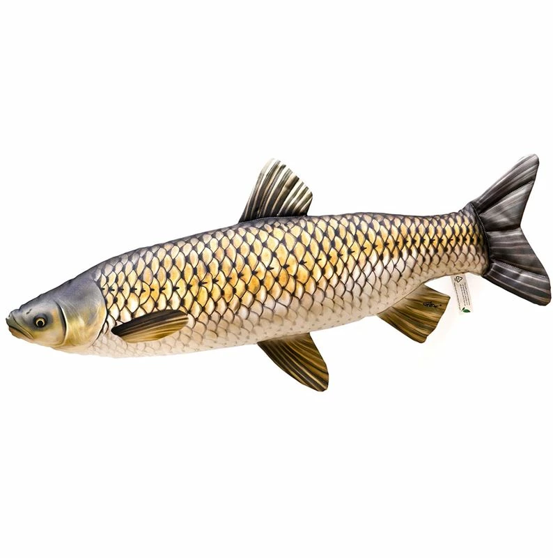 Gaby UK Gaby Grass Carp Pillow - Pillows 2 Gaby UK Gaby Grass Carp Pillow - Pillows - Image 2