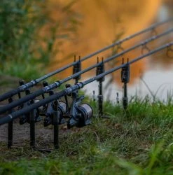 Prologic Fulcrum RMX Pro Bite Alarms - -Carp Sales Store smbie5af637723065818814525