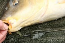 Korda Bait Up Method Feeders - -Carp Sales Store sp1hc5z4635981236112984168