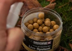 CC Moore Live System Booster Liquid - Booster liquids -Carp Sales Store tbmd3y1t636869675117821864