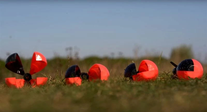 Wolf International Wolf Spider Spod - Spods & spombs 2 Wolf International Wolf Spider Spod - Spods & spombs - Image 2