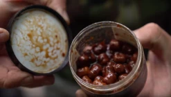 CC Moore Squid Hookbaits - -Carp Sales Store wrp0e4t3637116581796836877