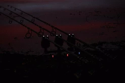 Carp Sales Store -Carp Sales Store ztnvajrx636784882819925103